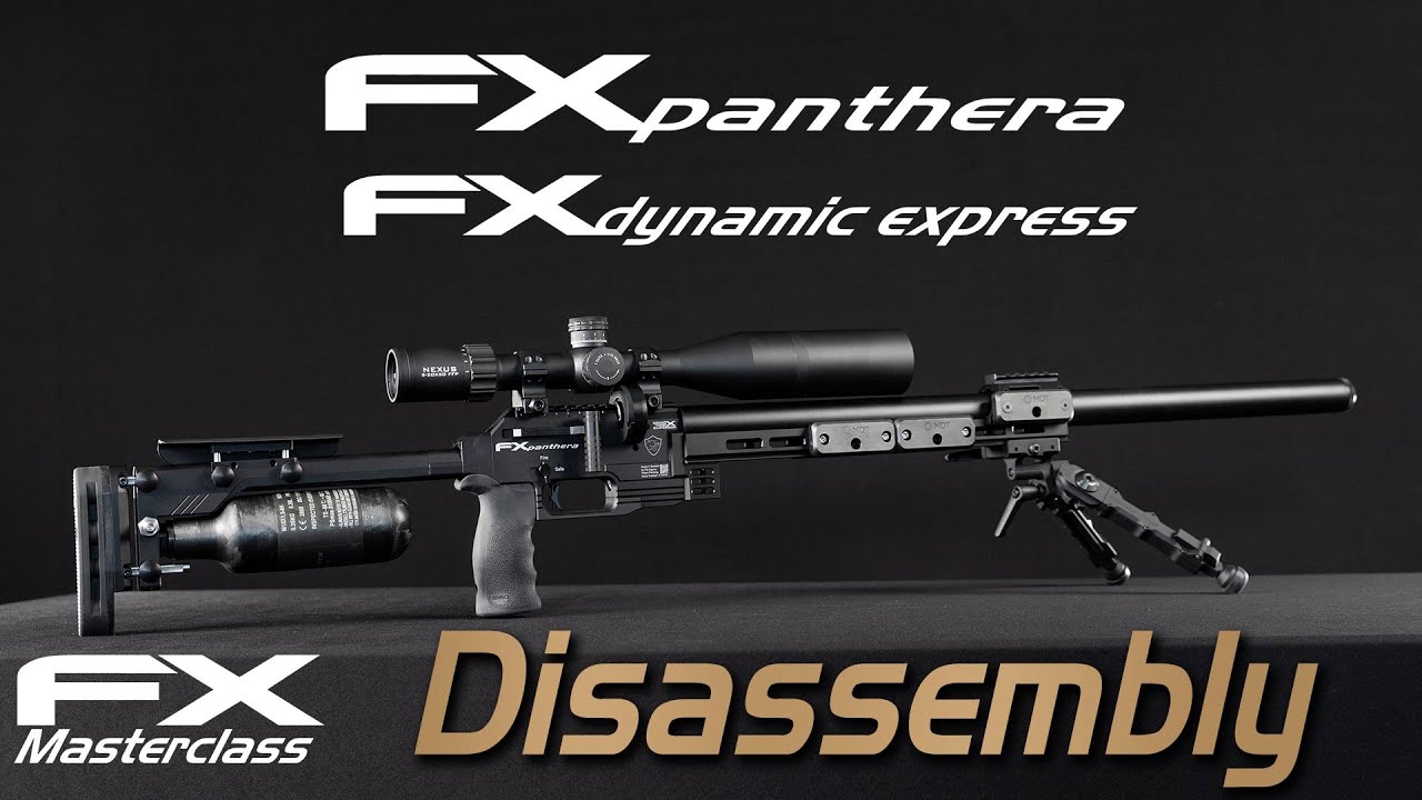 FX Panthera/Dynamic Disassembly - FX Masterclass