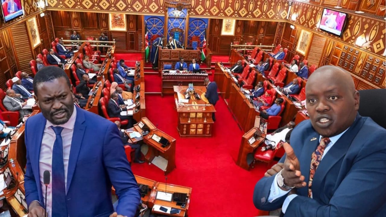 Live: Senate HEATED debate Thursday Afternoon Session. 12th February 2026