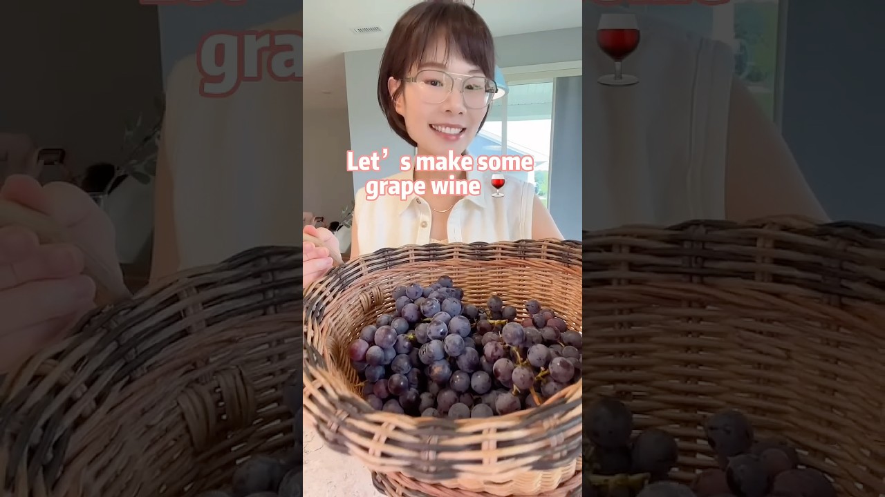 Homemade grape wine 🍷 Let&rsquo;s make some 2 ingredients grape wine: 🍇 + sugar~