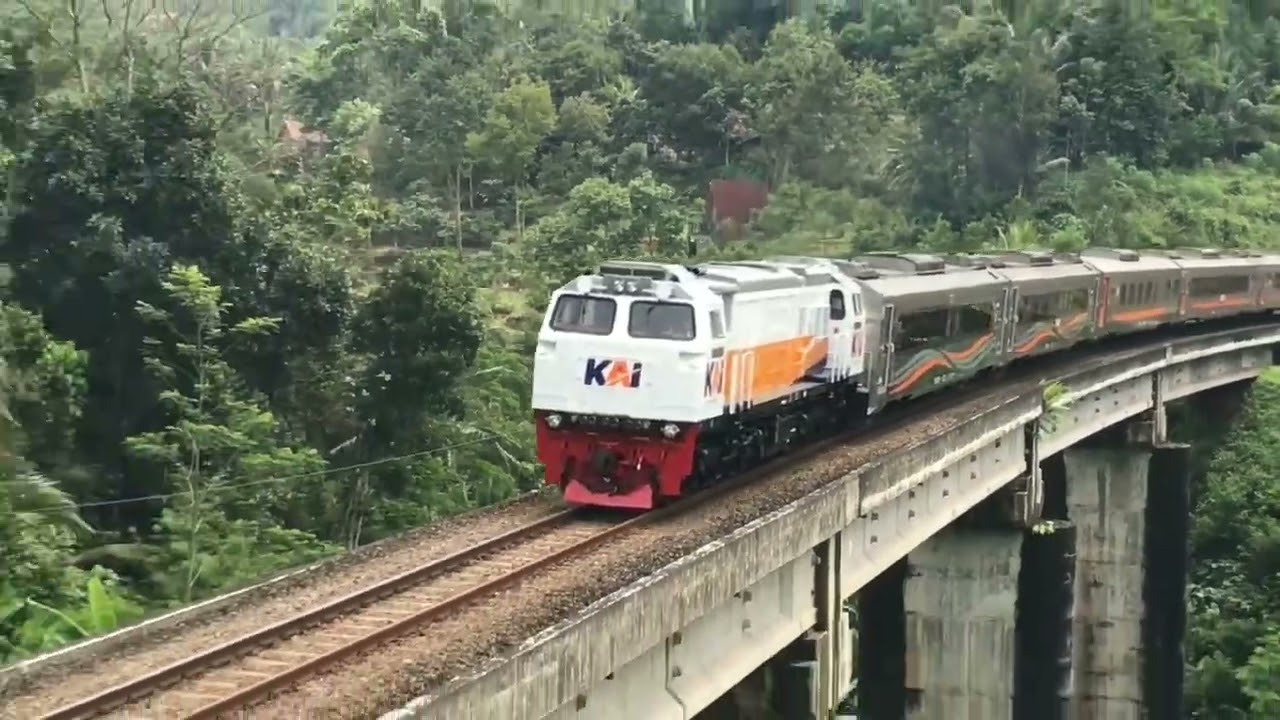 KERETA API PANJANG ‼️ MENEMUKAN 20 KERETA API NGEBUT DI TIKUNGAN