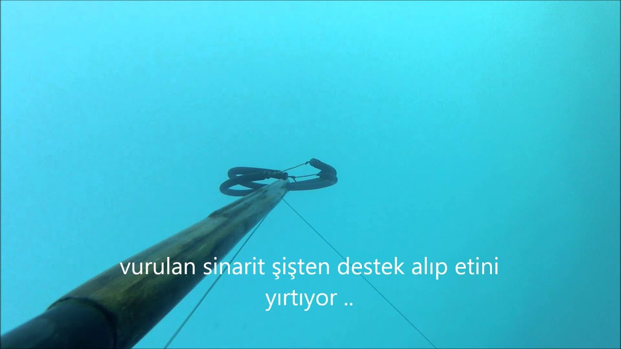 Cengiz Kaynar- sinarit avı