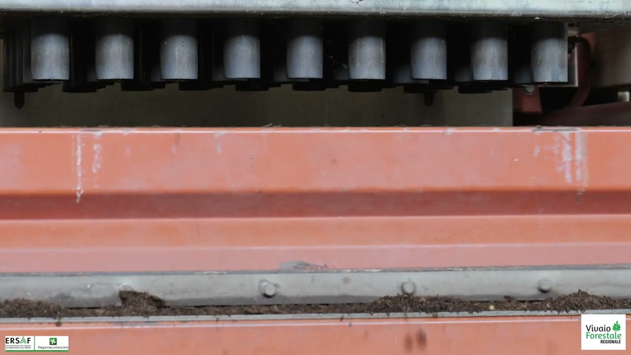 06 - La semina manuale in alveolo