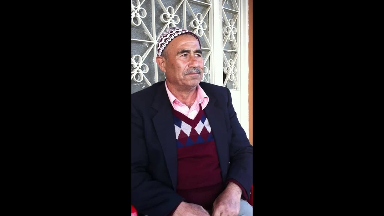 Ege şivesi