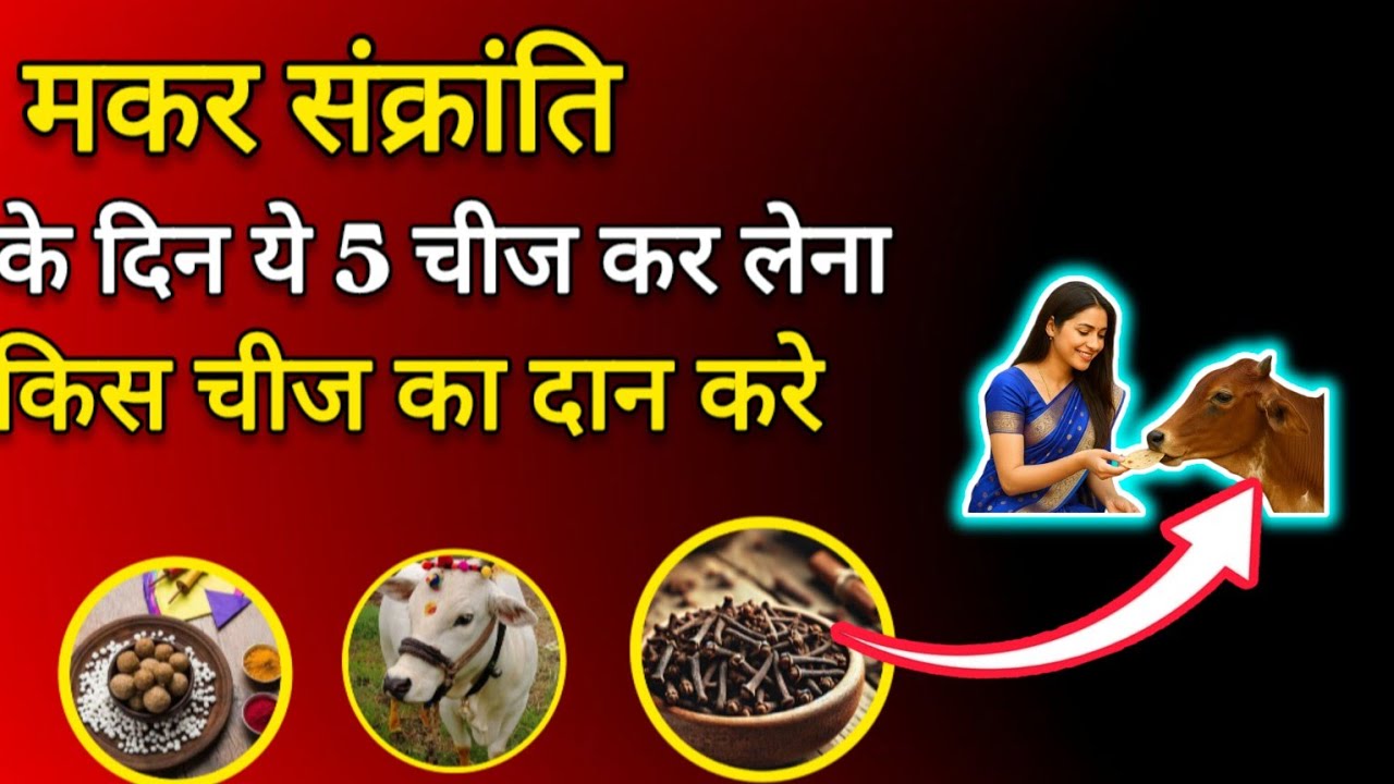 मकर संक्रांति पर ये 1 दान कर लो | भाग्य बदलने का सबसे बड़ा उपाय