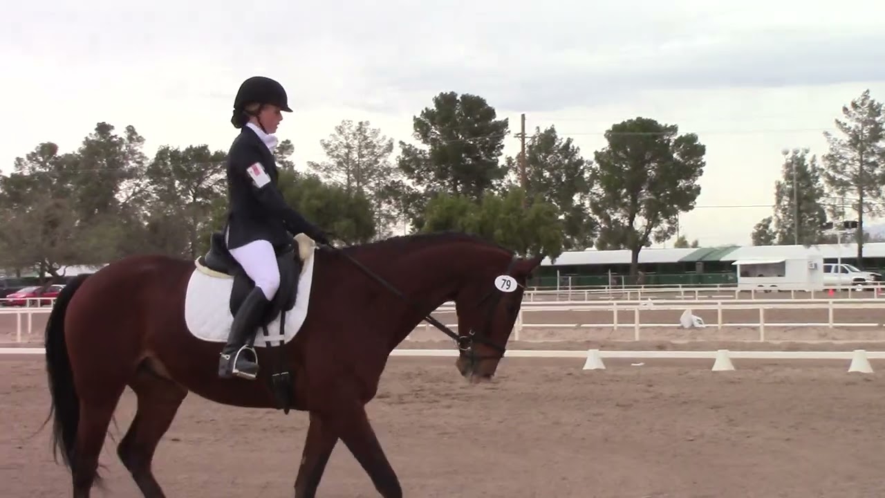 Fabius Dressage BN test 2018
