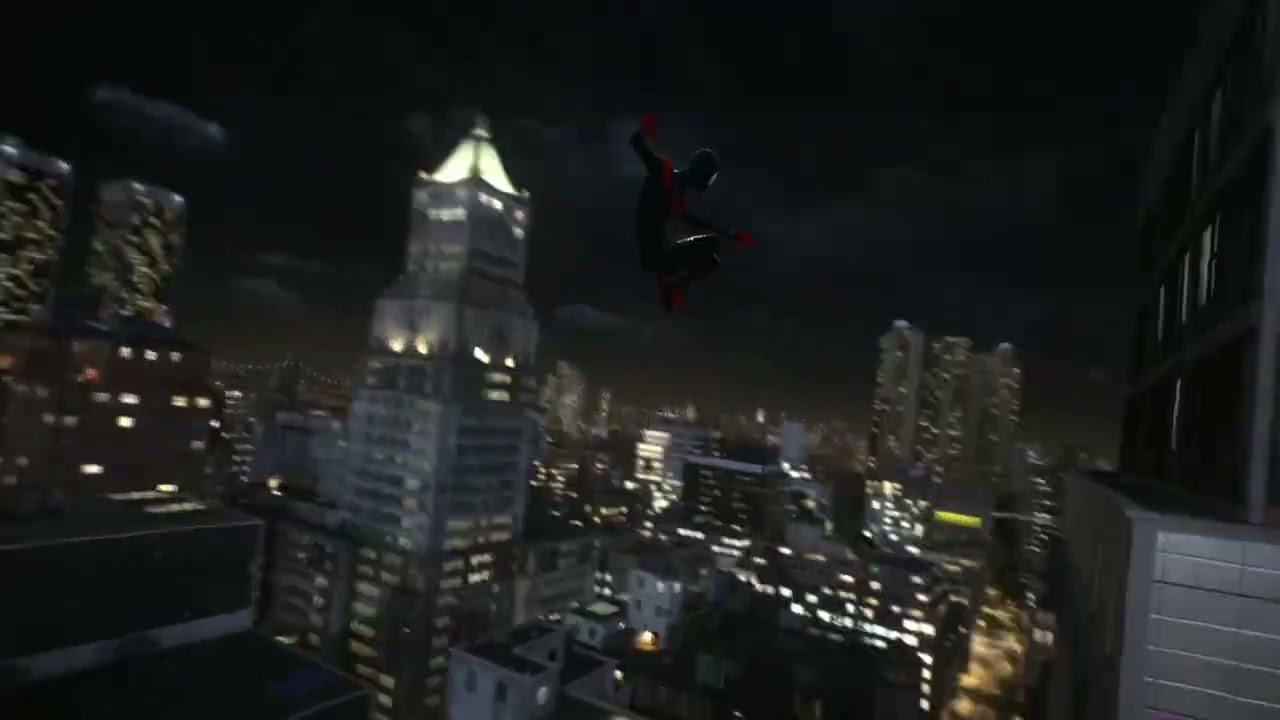 Into The Spider Verse 🕸🕷