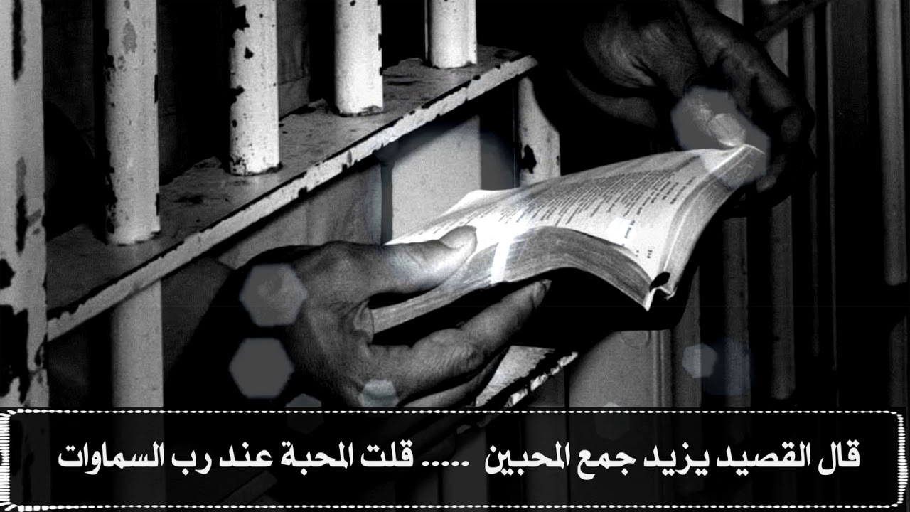 الشاعر عامر المقبالي