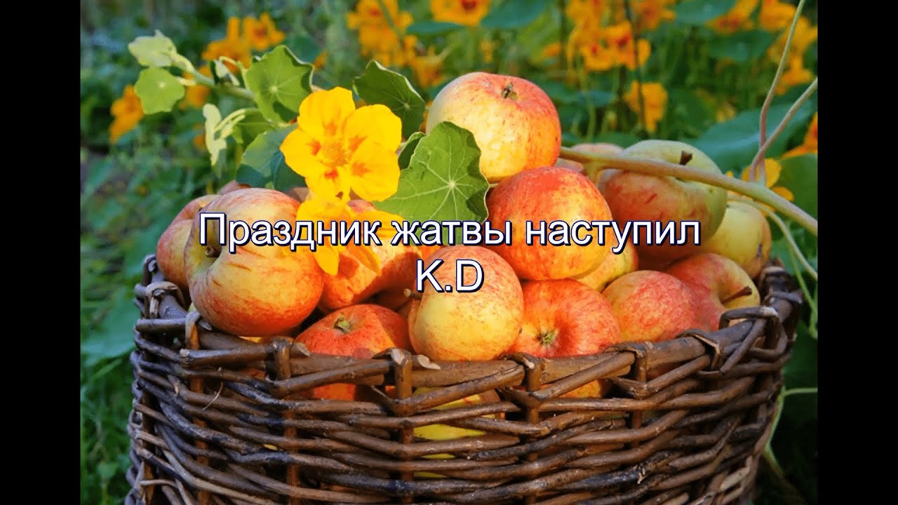 Праздник жатвы наступил