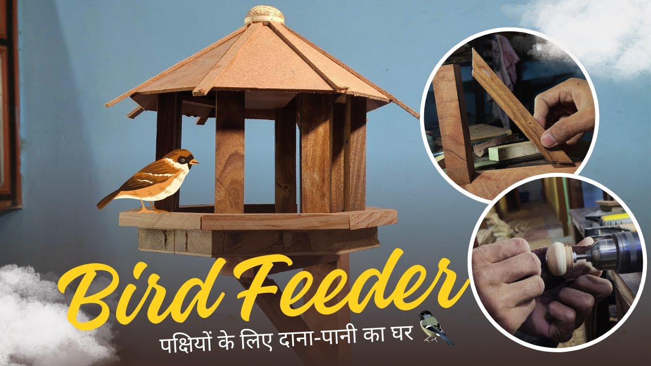 एक छोटा प्रयास, घर पर बनाया लकड़ी का Bird Feeder 🐦