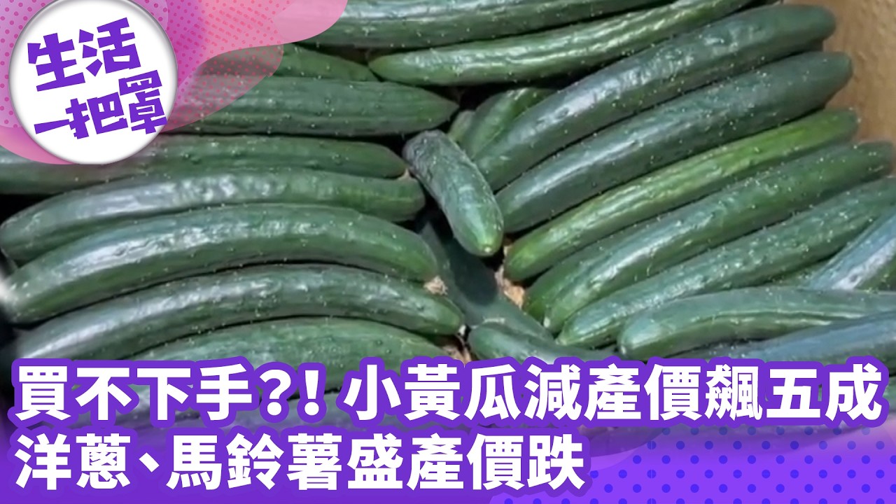 《生活一把罩》買不下手？！ 小黃瓜減產價飆五成 洋蔥、馬鈴薯盛產價跌
