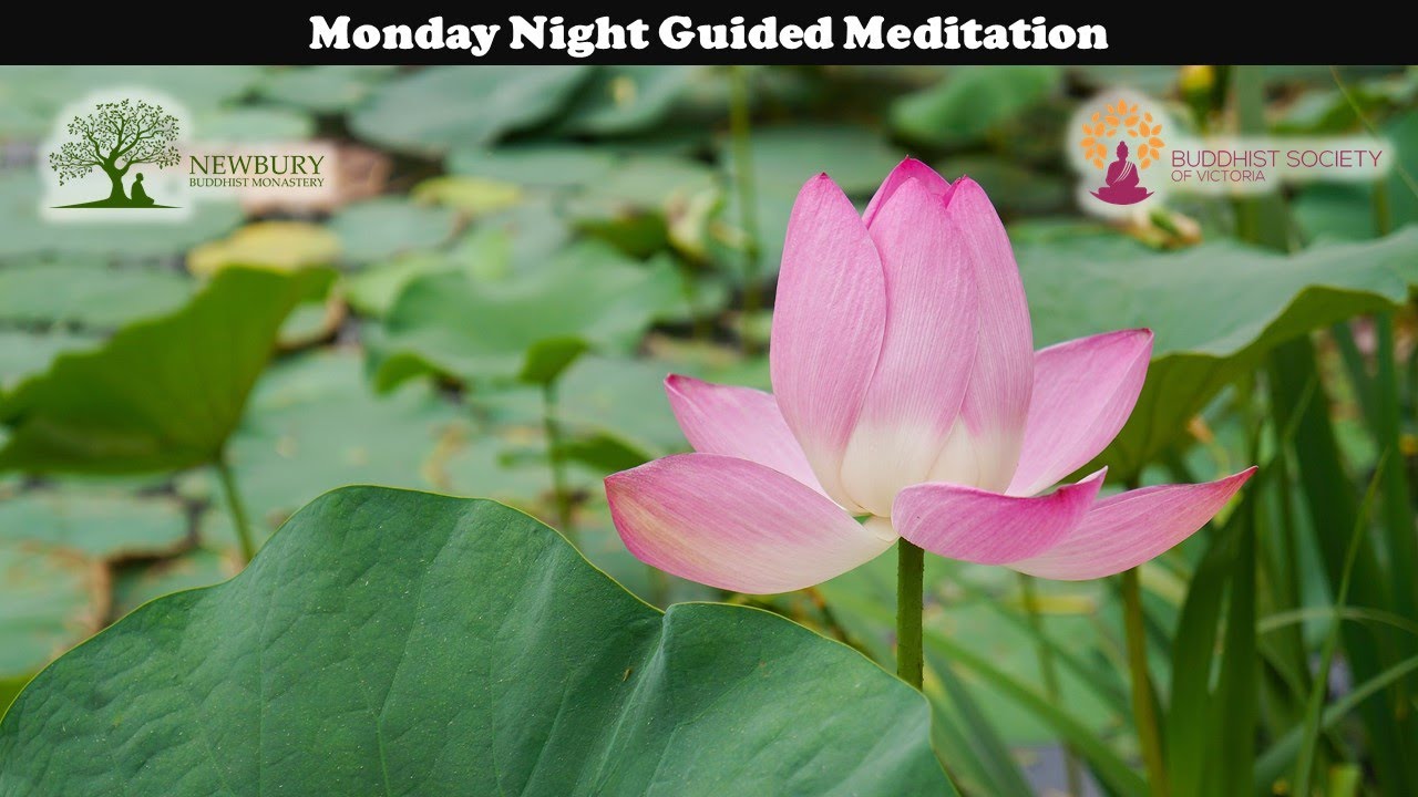Guided Meditation - BSV | Ajahn Nissarano | 18 JAN 2021