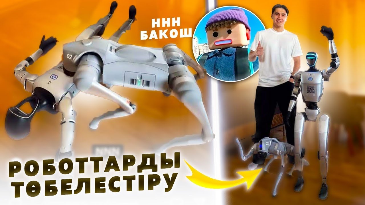 РОБОТ ТӨБЕЛЕСі | ННН Бахош қайда?