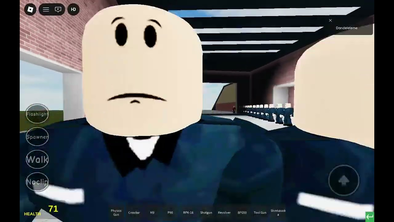 Playing Ray's mod with addons 