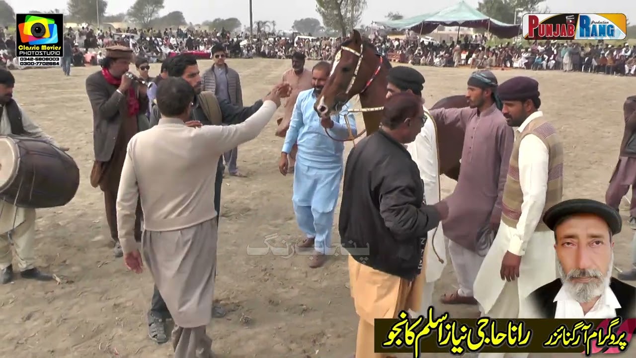 Chota Babar ll Fakhar Sial ll Horse Dnce ll Horse ll Mari Qutab Kahroar Paka Lodhran ll 2023