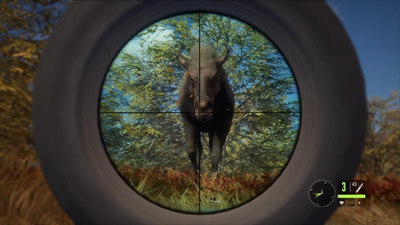 Wasting time in theHunter: Call of the Wild - Part 2
