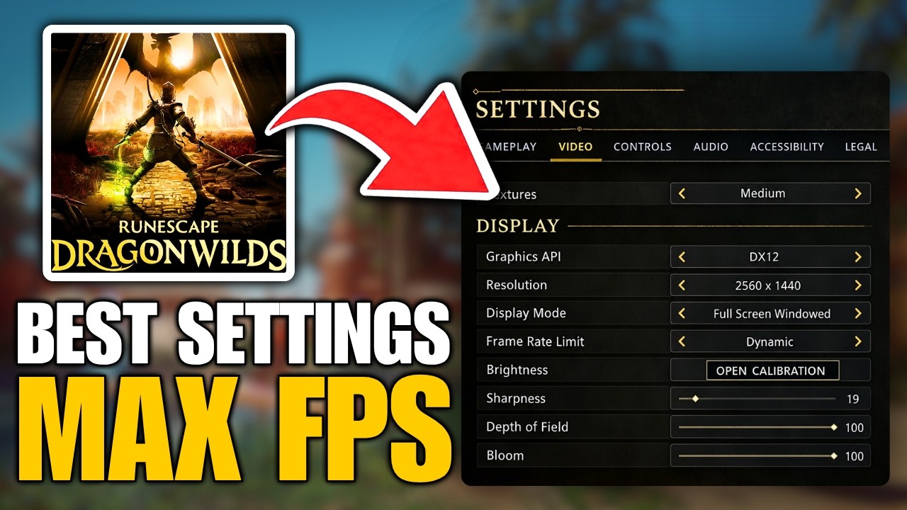 RuneScape Dragonwilds Best Settings For MAX FPS