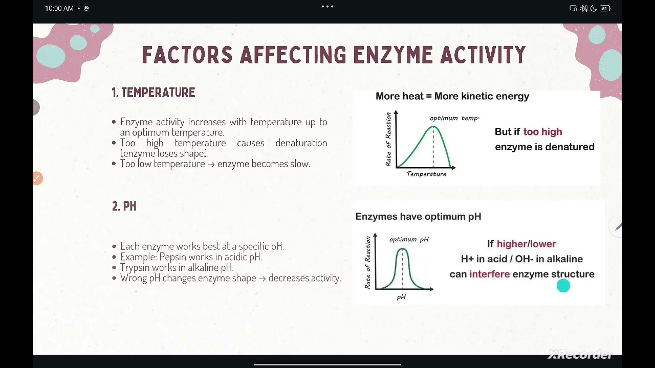 @HR_Academy-SA uses of Enzymes & factors affecting the activity of Enzyme grade 9th  Biology 