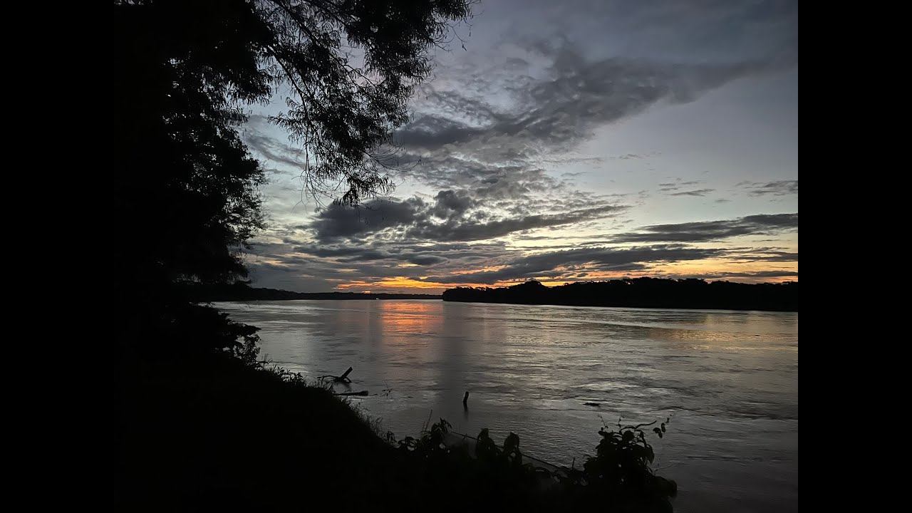 Peru   jungle   Madre de dios