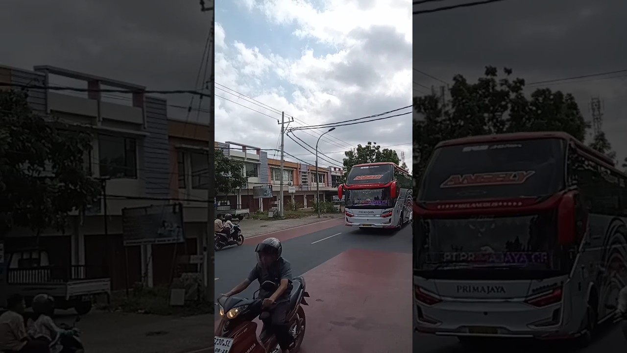 PJ membasuri di jalan raya lintas Mataram bima #bus #kerenviral #ntb #businessnews