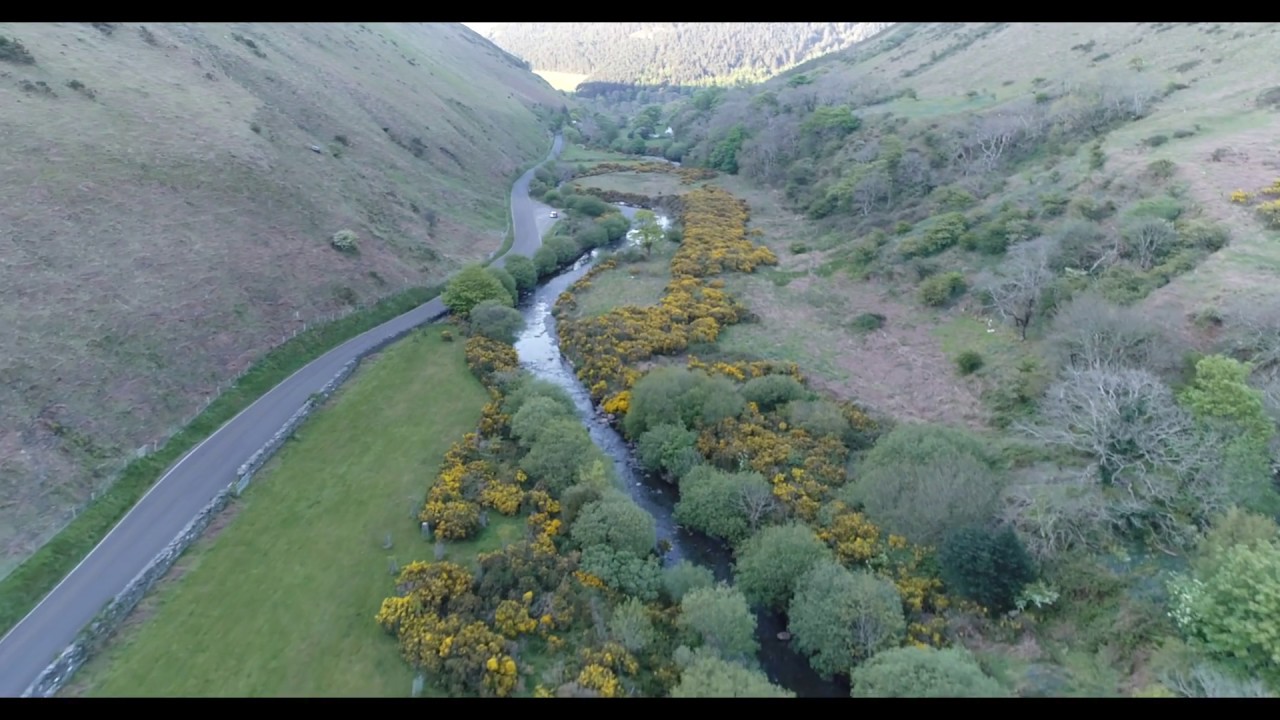 Sulby Glen and Bluebells - Isle of Man