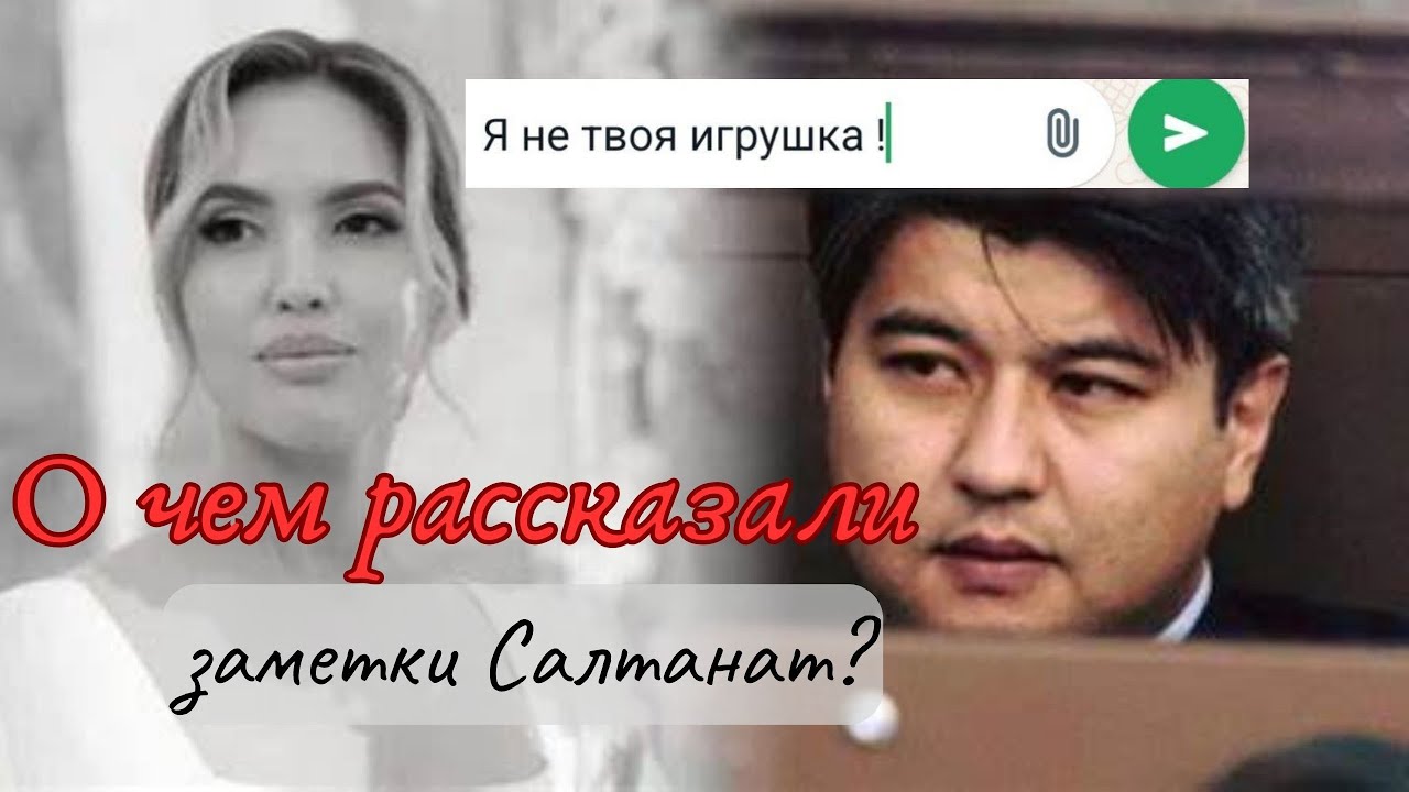 Заметки Салтанат и переписка с Бишимбаевым. Анализ- часть 1