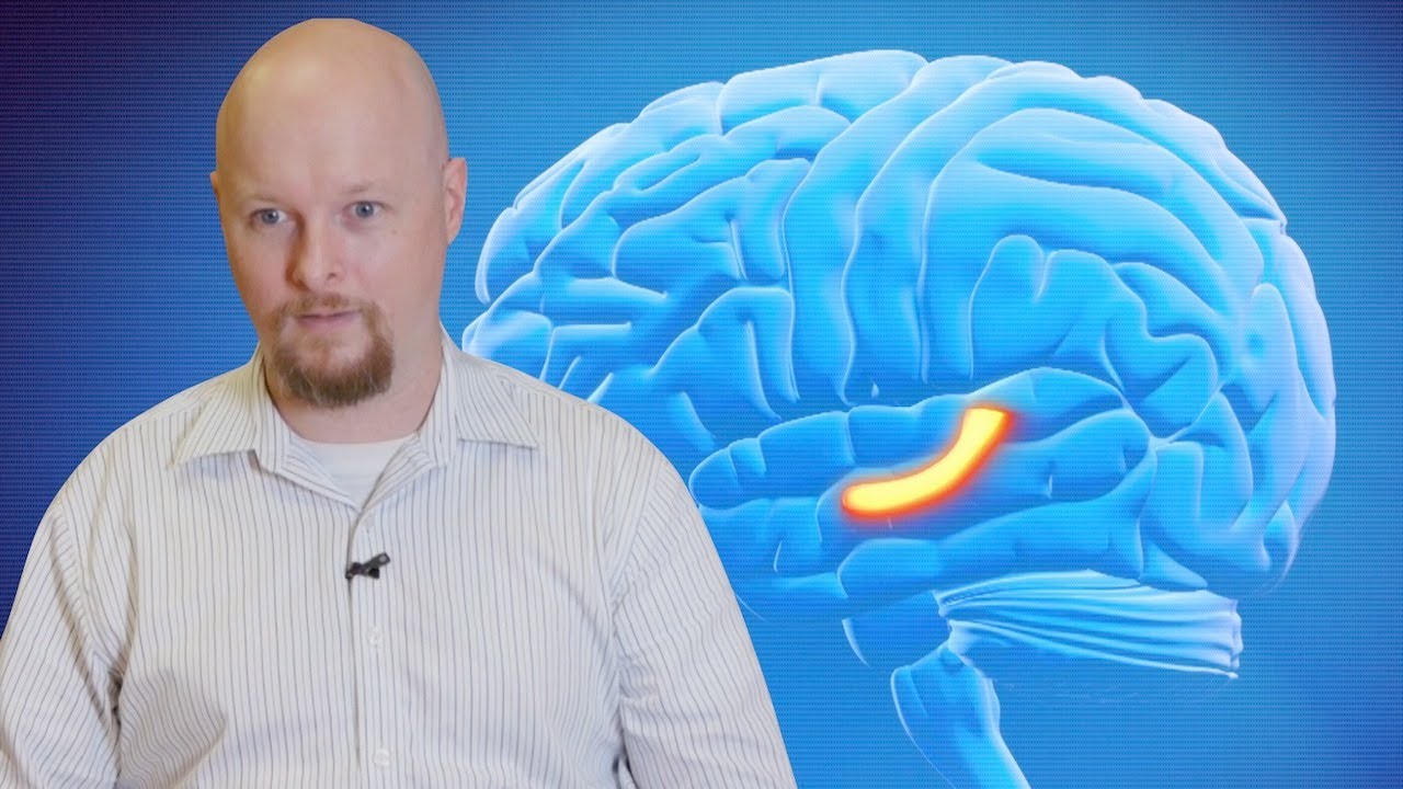Does Consciousness Have an On/Off Switch?