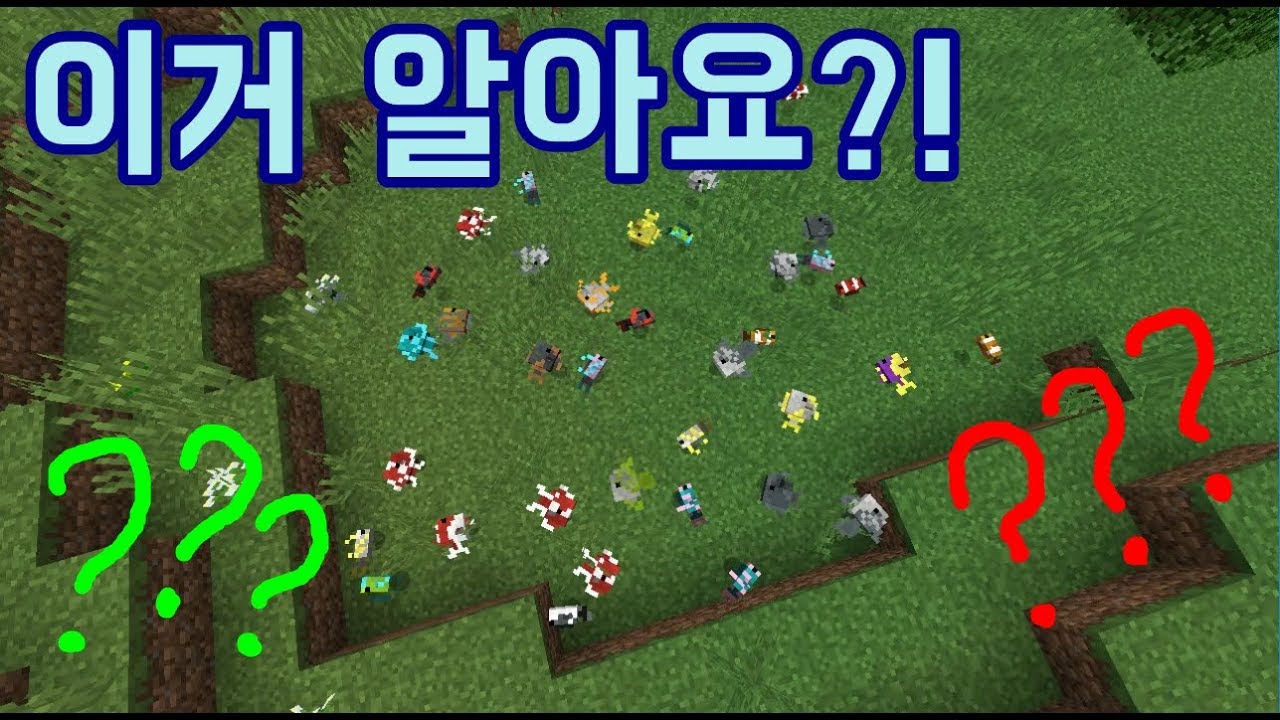 이거 알아요?!! 압니까?? [운터의 하루..#68]