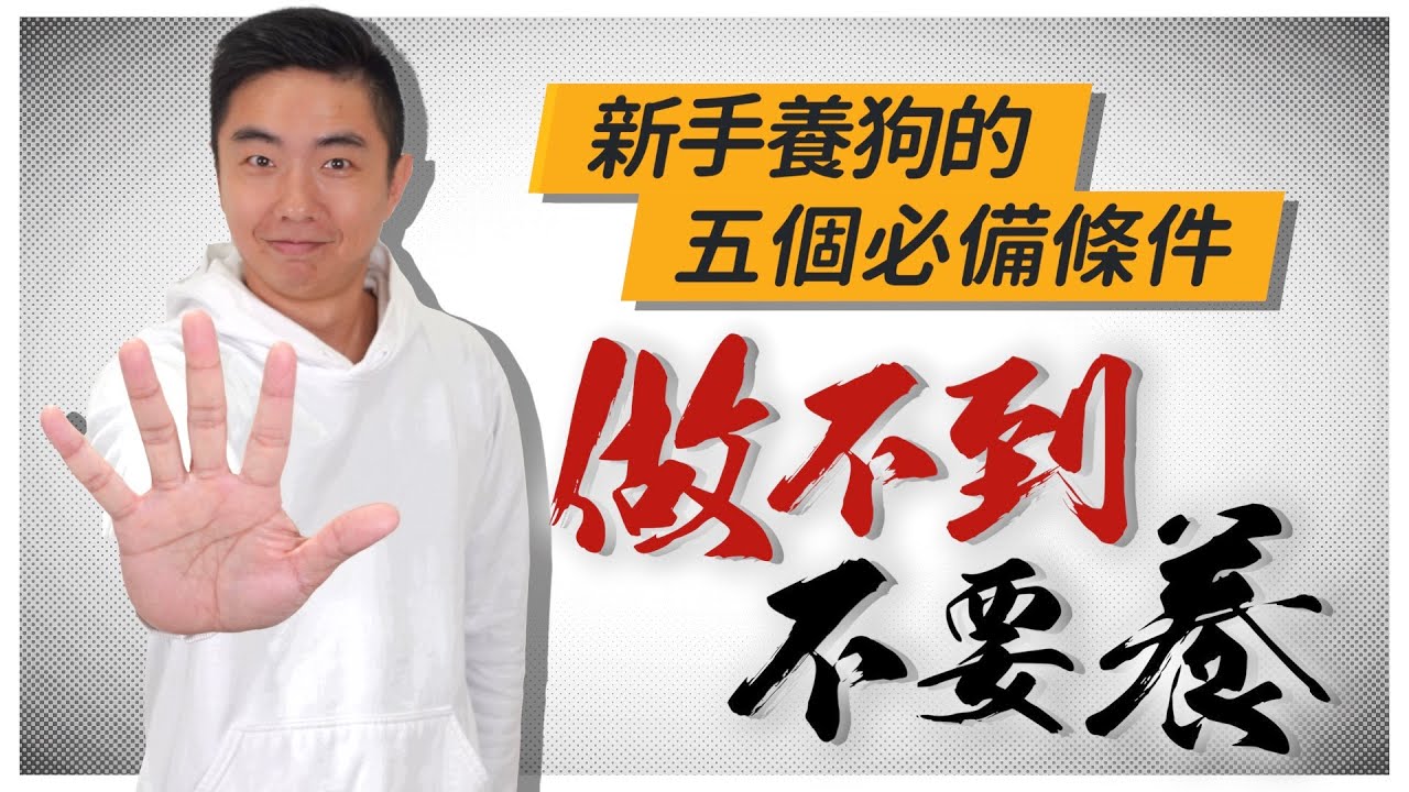 做不到不要養！新手養狗的五個必備條件！｜熊爸估狗
