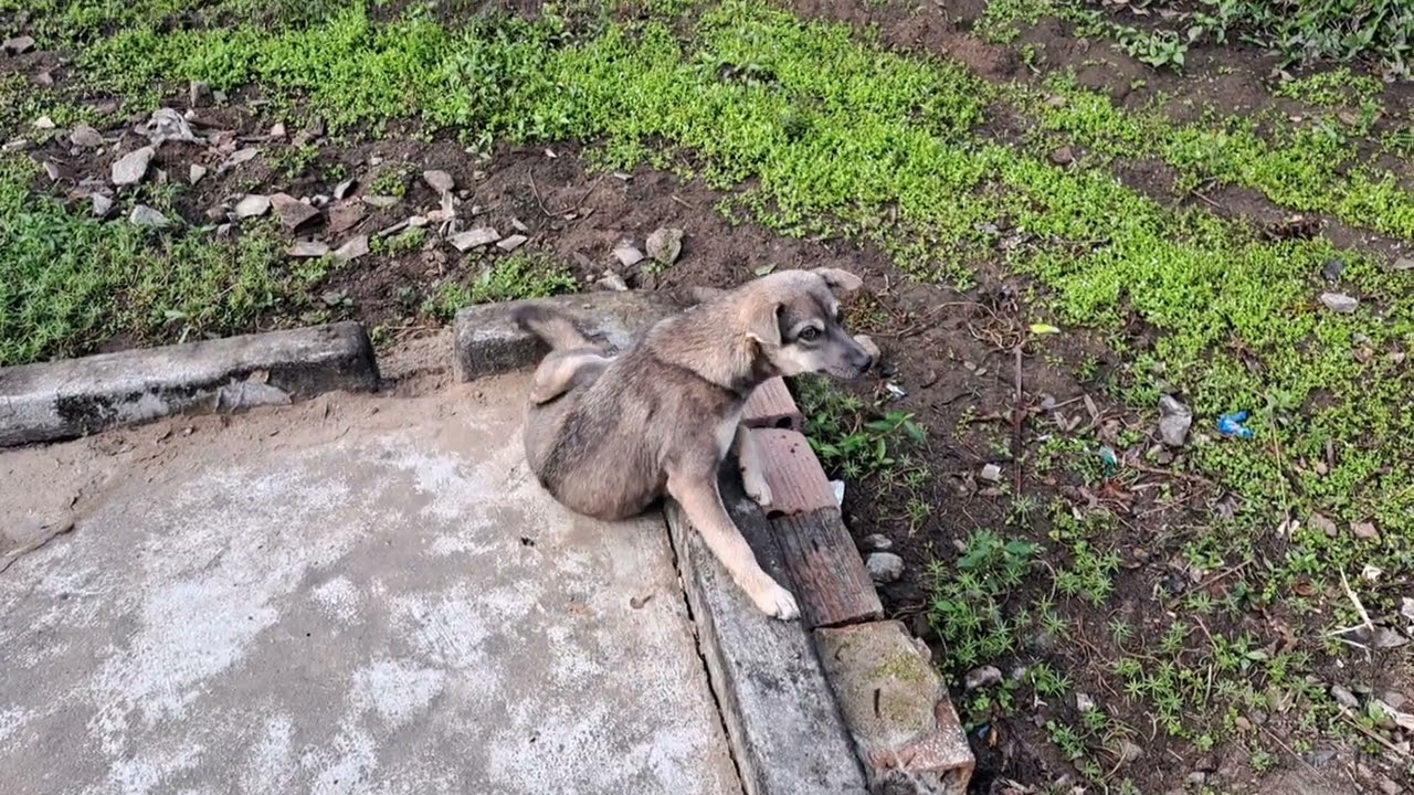Buổi sáng nắng đẹp thích hợp để kéo bạc ớt