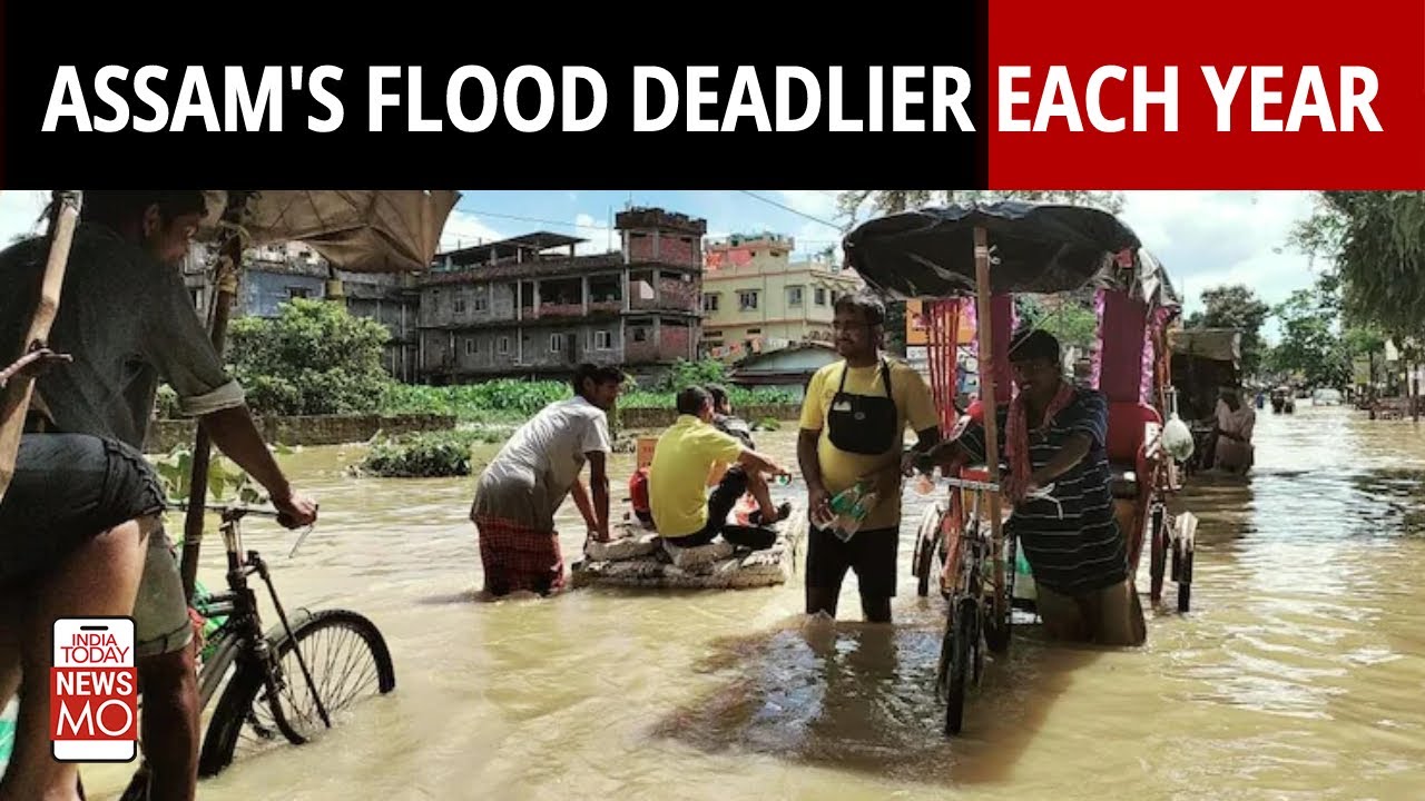 Assam Flood 2022: Why Is Assam's Flood Getting Worse Each Year?