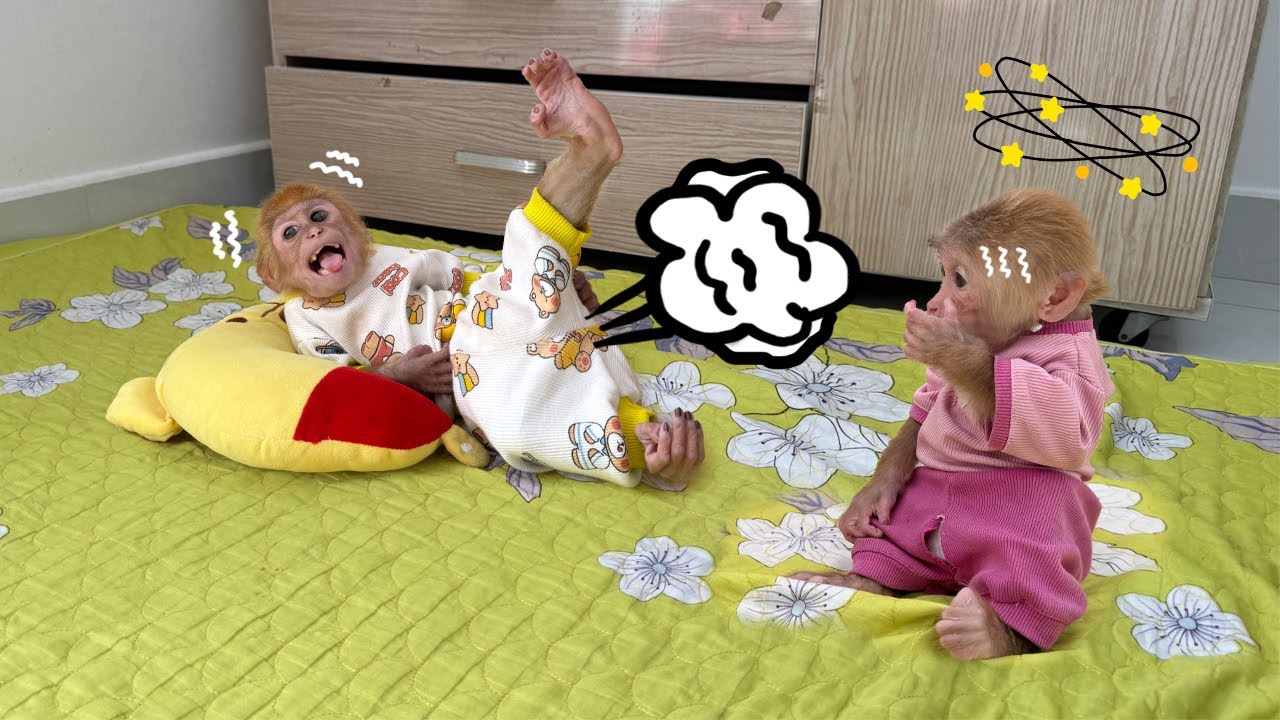 Hilarious! Sunny covers her nose and runs away from Lucky&rsquo;s awful smell!