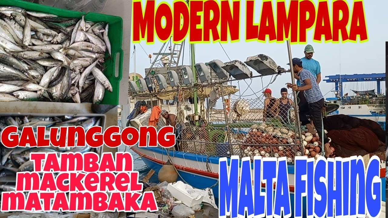 Fishing in Malta Using Modern Lampara//galunggong, mackerel, tamban, matambaka.