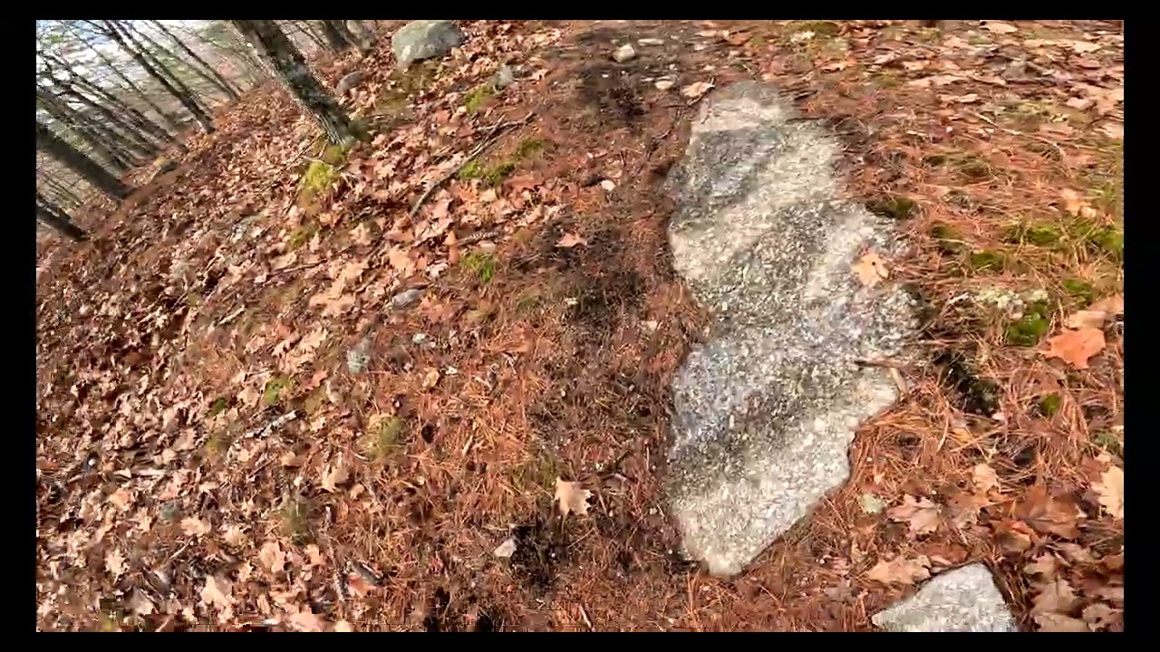 South Trail Mount Waldo Frankfort Maine