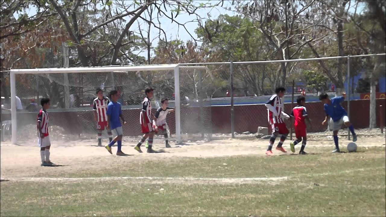 Mayo 4, 2014 Cat Infantil Chivas Gallos Marinos