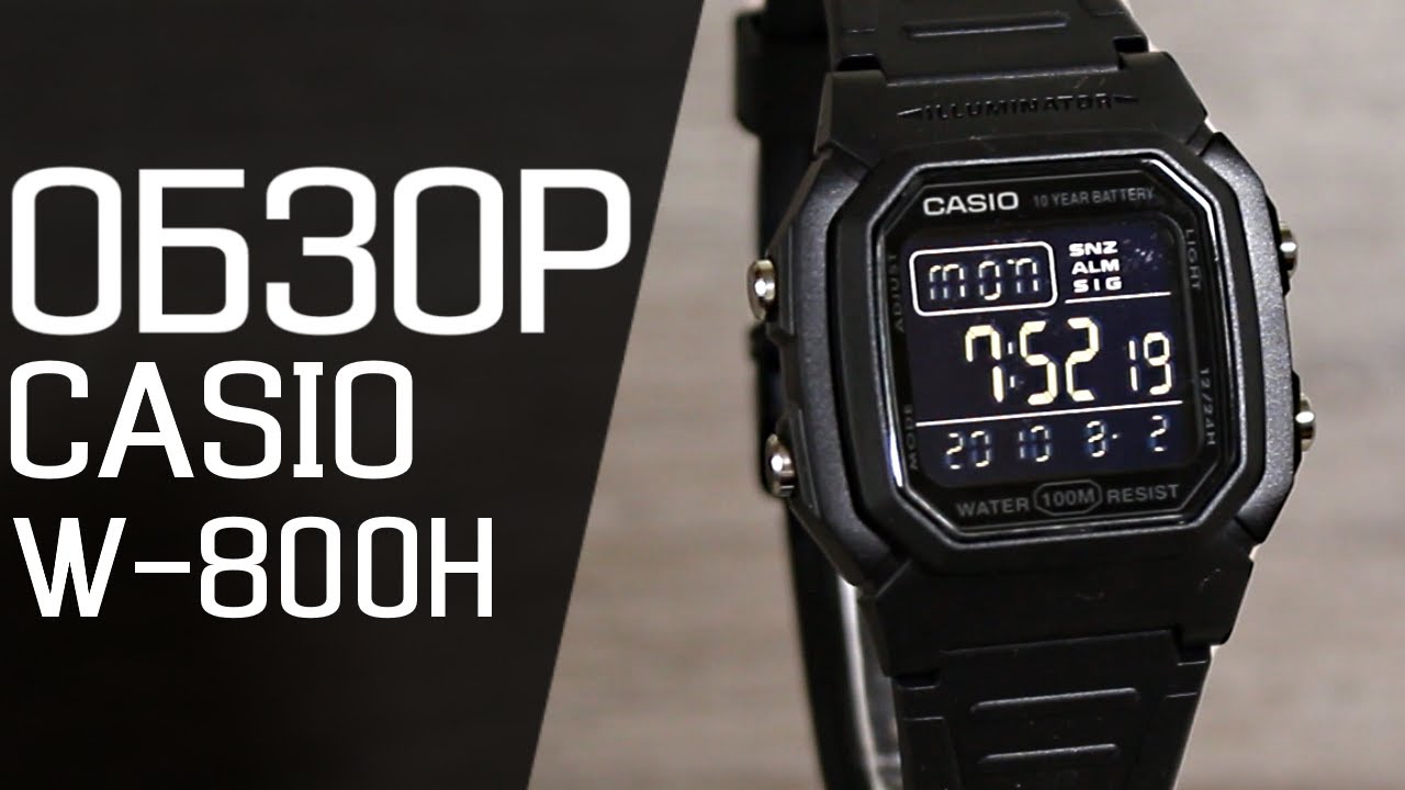 Обзор CASIO W-800H-1B | Где купить со скидкой