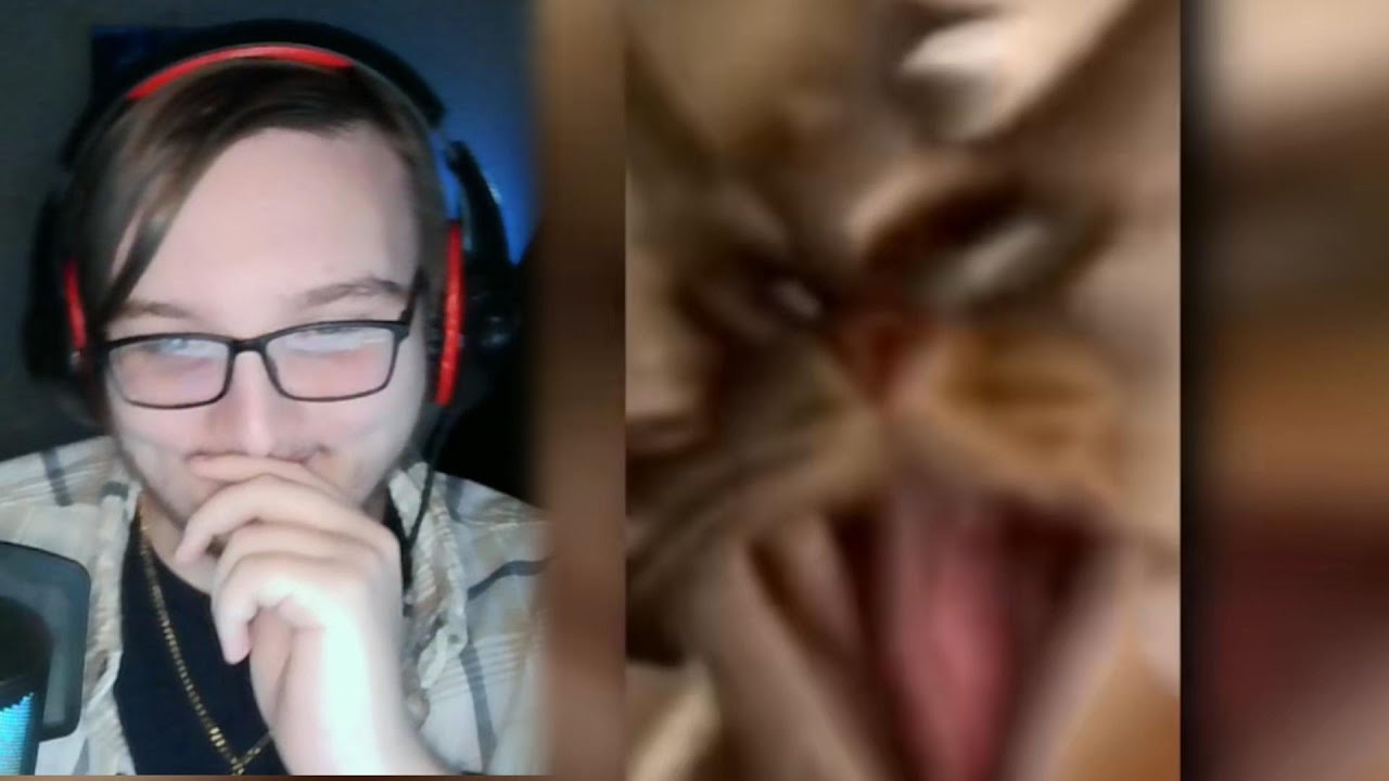 WONKY CAT OF DEATH!!! l TRY NOT TO LAUGH CHALLANGE #1