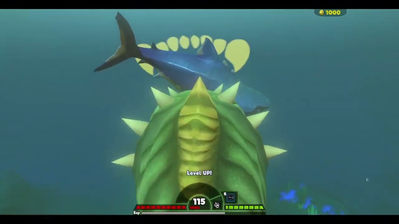 FEED and grow fish
