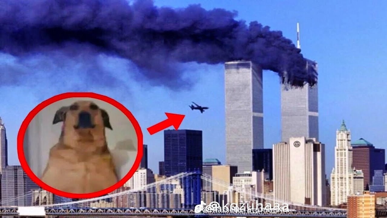 offensive memes that are actually funny