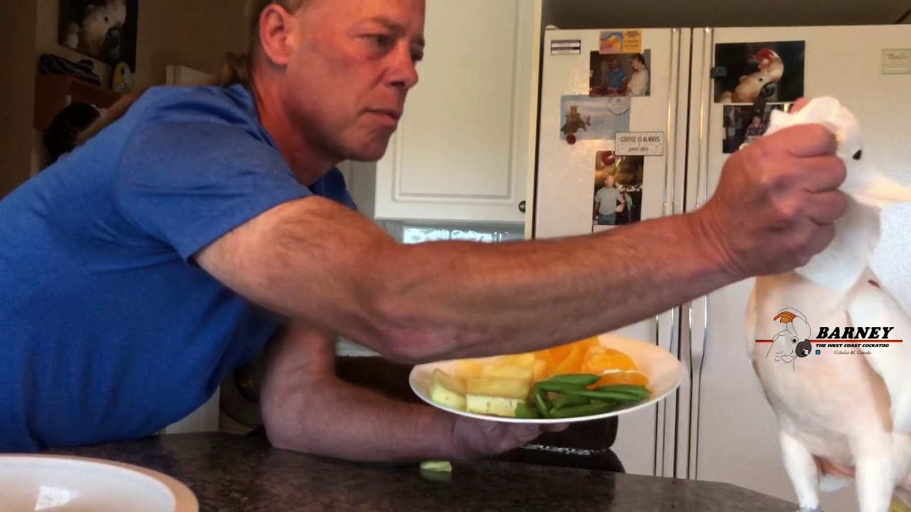 Snack tray, with Barney on the news right at the end