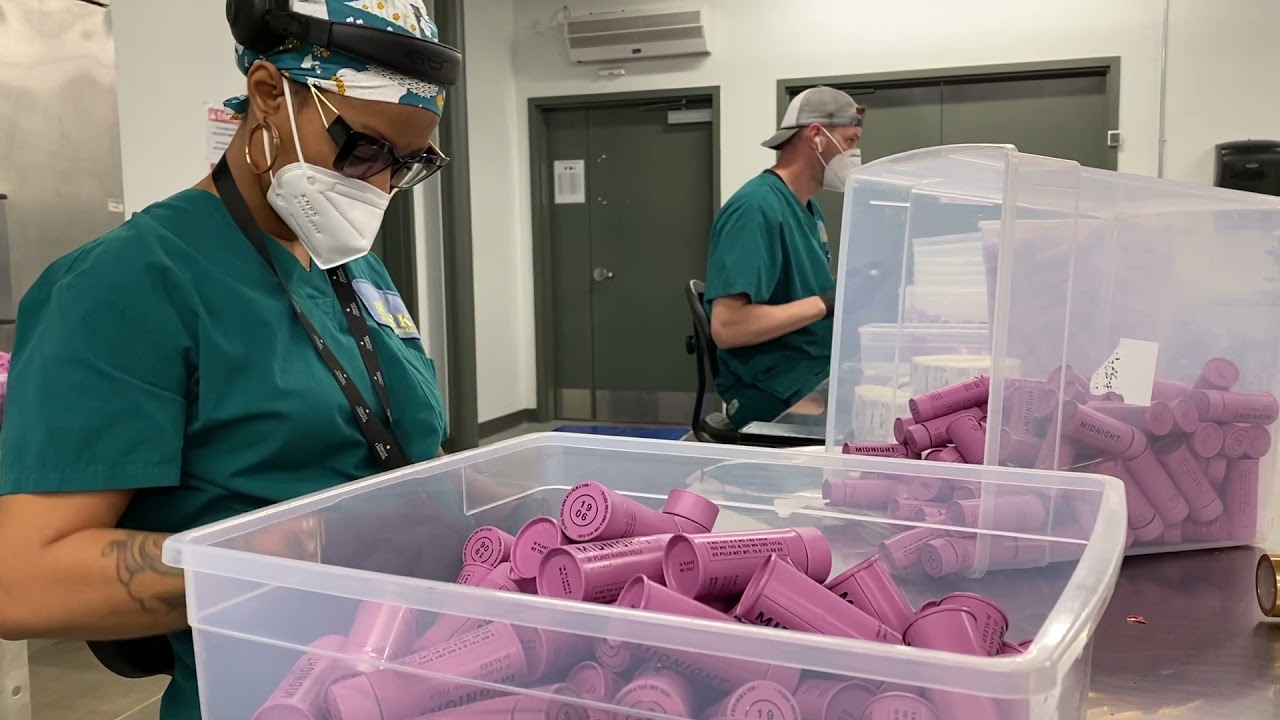 An inside look at Bask's cannabis grow and processing facility