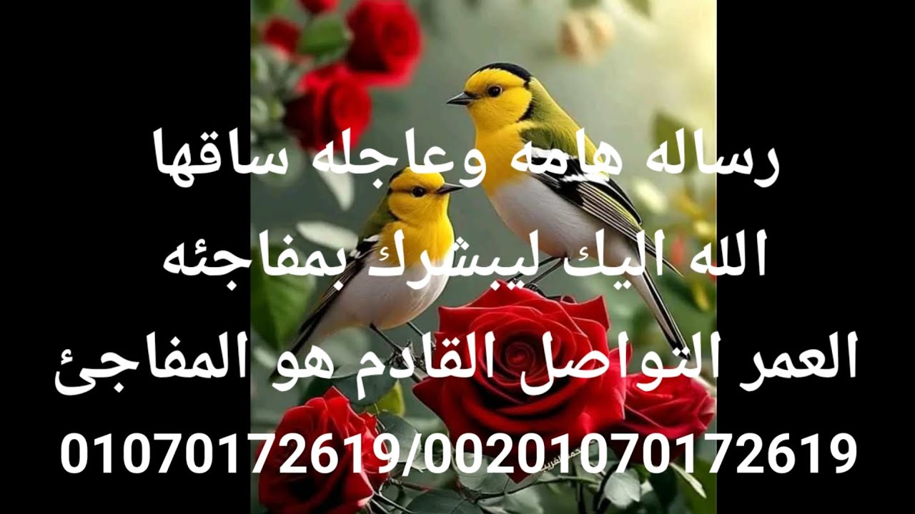 رساله هامه وعاجله ساقها الله إليك ليبشرك بمفاجئه العمر الاتصال القادم لك هو المفاجئه والبلديات الجدي