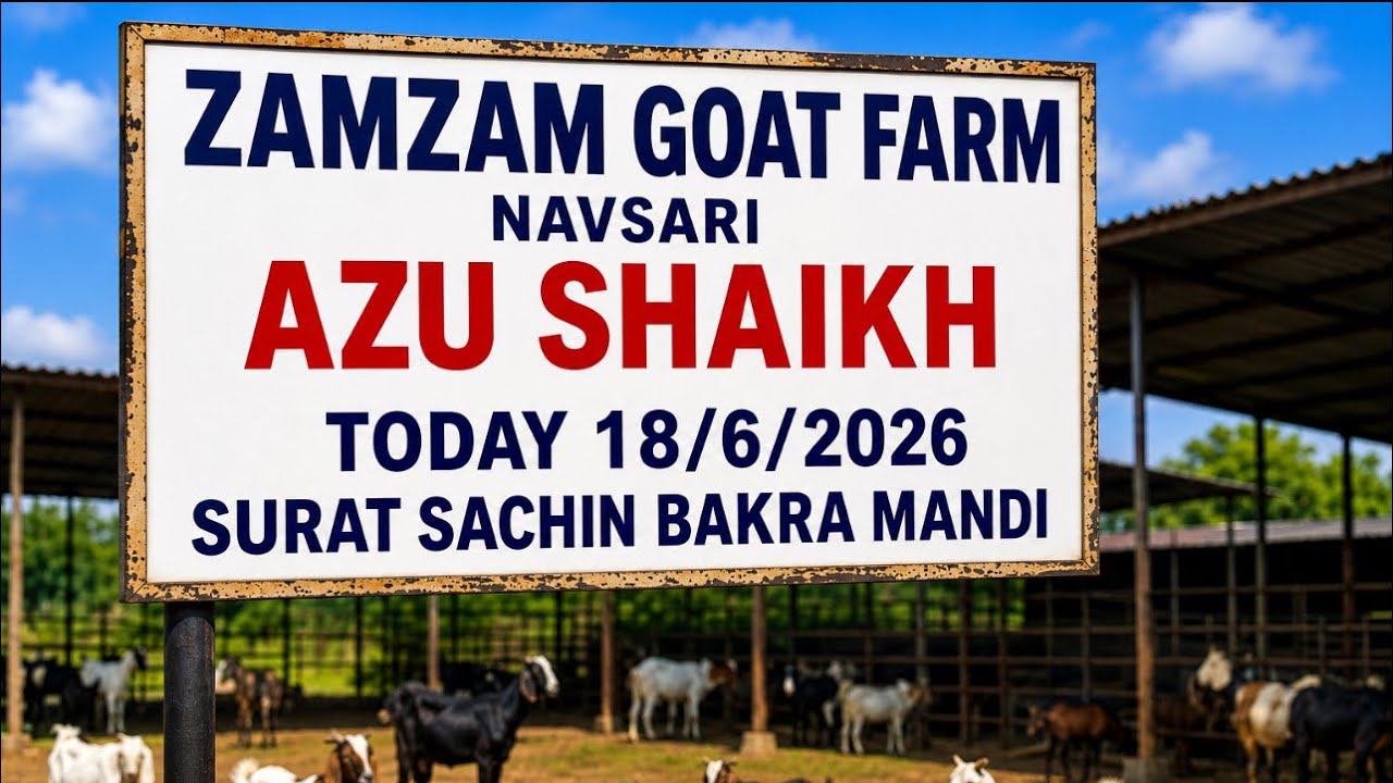 SURAT SACHIN BAKRA MANDI 18/6/2026 BY ZAMZAM GOAT FARM NAVSARI ( AZU BHAI ) GUJARAT BAKRA MANDI