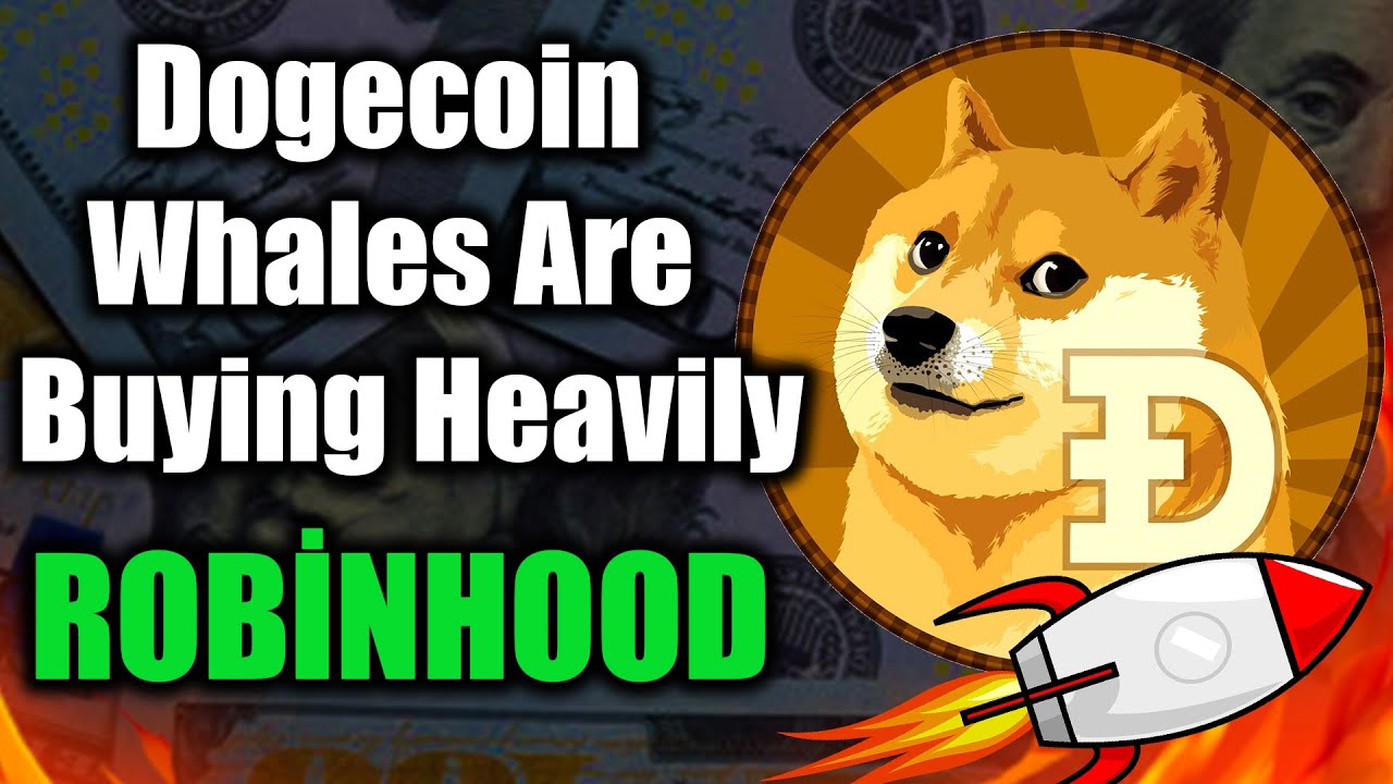 Dogecoin DOGE Whales Are Buying Heavily ! DOGECOİN NEWS TODAY #dogecoin #dogecoinnews #crypto