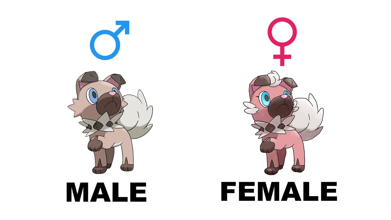 Rockruff Lycanrock Evolution Gender Difference Fanart