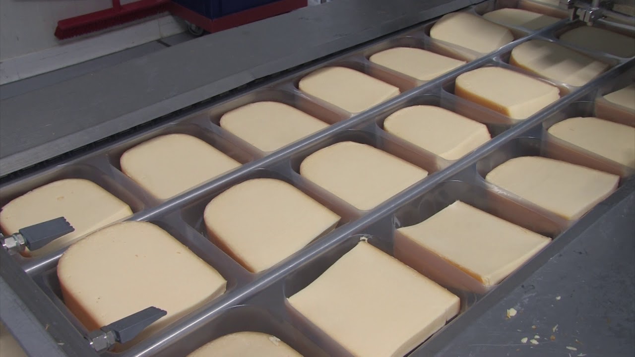 Complete cheese wedges packaging line  | SC Consultancy