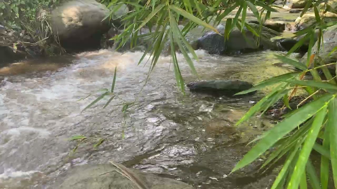 Tidur Nyenyak dengan Suara Sungai ASMR 9