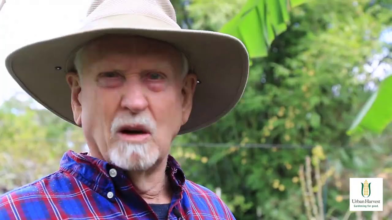 Growing Ice-cream Banana Trees with Dr. Bob Randall
