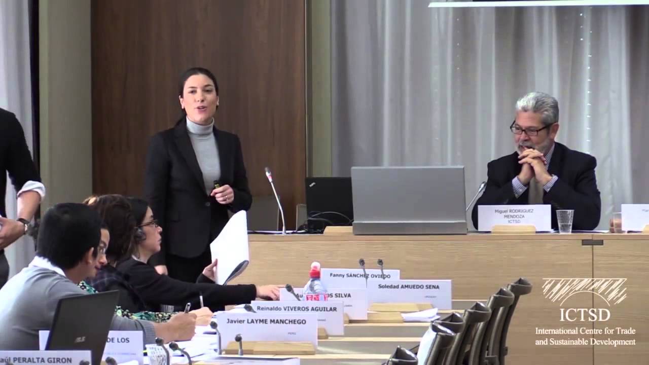 Gestión de preocupaciones comerciales relacionadas a MSF (Observaciones Preliminares y Sesión II)