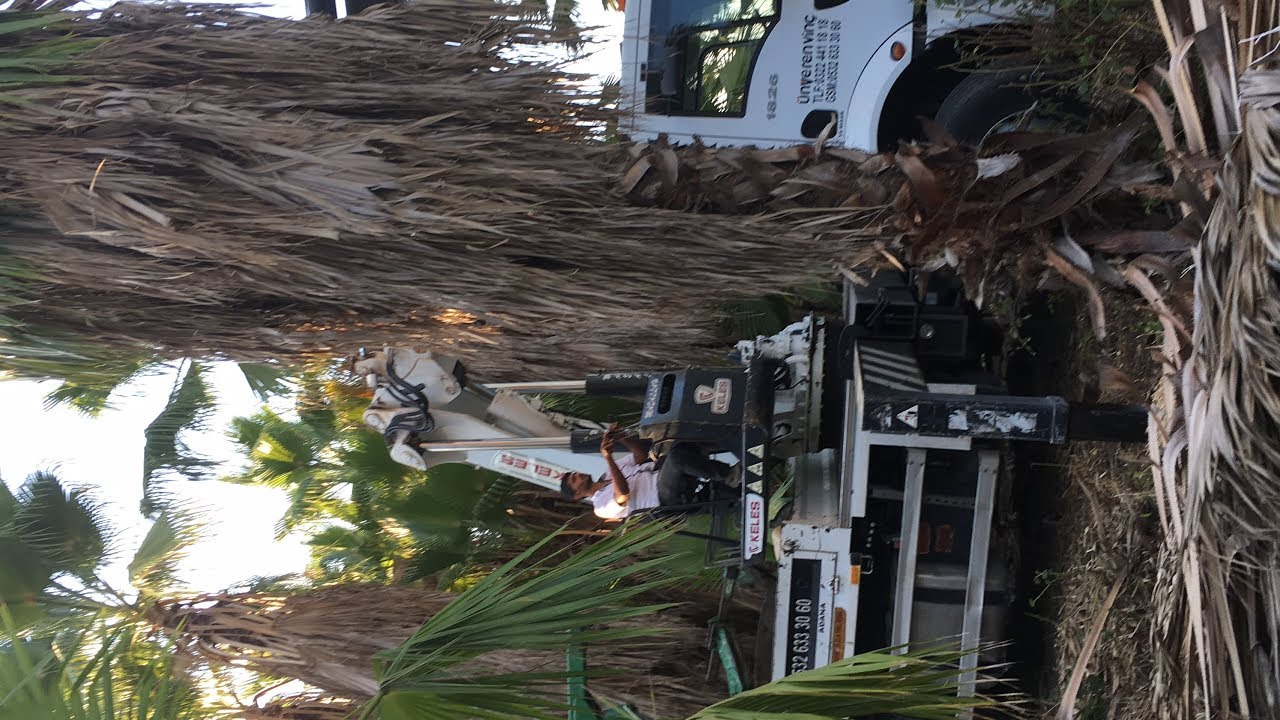 Hiyap vin&ccedil; kullanma