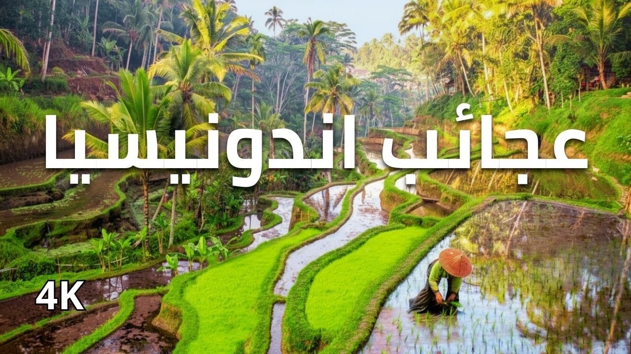 عجائب.. إندونيسيا - رحلة إلى قلب الجمال الاستوائي | 4K
